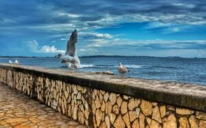 Corrubedo-crealidades