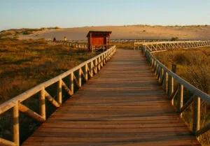 crealidades-camino-corrubedo